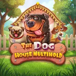 The Dog House Multihold game at Jeetcity Casino for Australia players